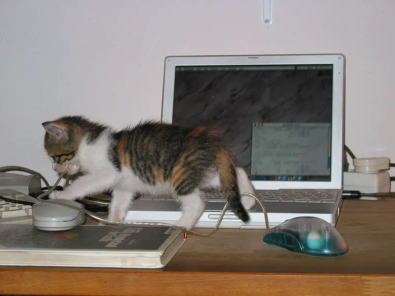 Computer