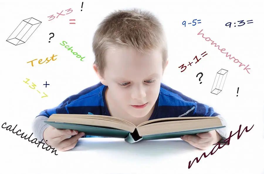 Education System
