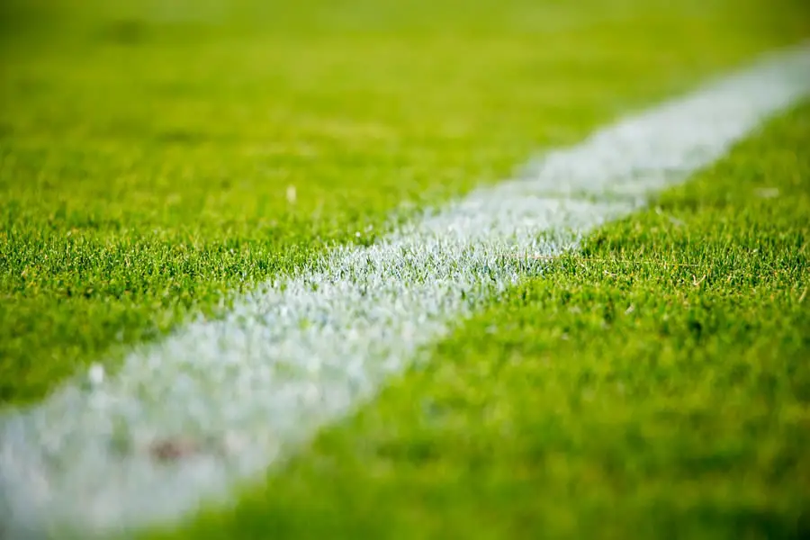 soccer field